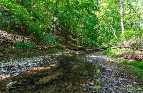 Berkeley Springs House | House ∙ 3 bedrooms ∙ 6 guests