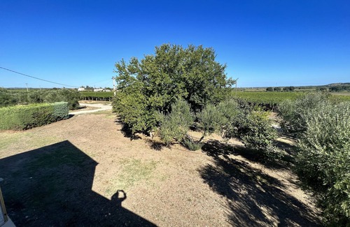 Nuova Cliternia House | House in the Countryside with pool near the sea