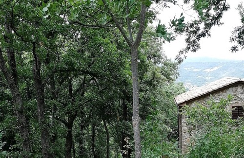 Arcidosso House | House in the woods, southern Tuscany, Stribugliano
