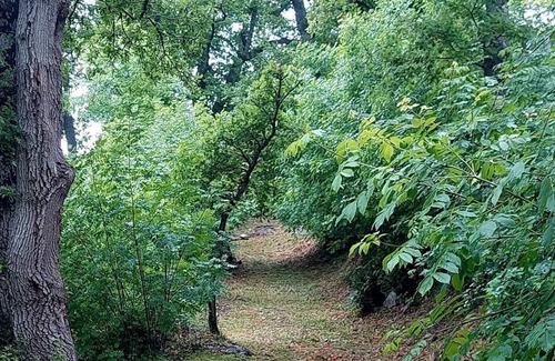 Arcidosso House | House in the woods, southern Tuscany, Stribugliano