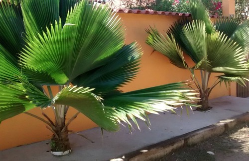 Tamoios House | House TAMOIOS CABO FRIO