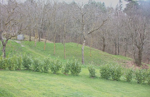 Teglio Apartment | House The Hedges