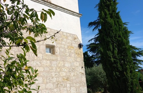 Cahuzac-sur-Vere House | House/Villa - Cahuzac sur vere