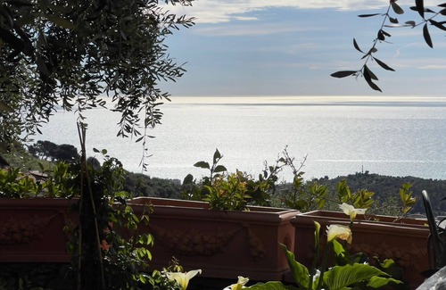 Serreta House | House with large garden overlooking the sea