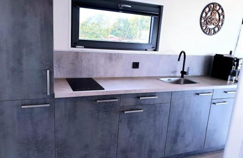 Monnickendam Boat Rental | Houseboat Isola