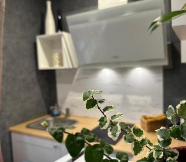Jekabpils Apartment | Hugo 3