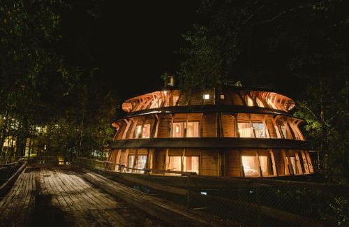 Neltume Cabin | Huilo Huilo Reino Fungi