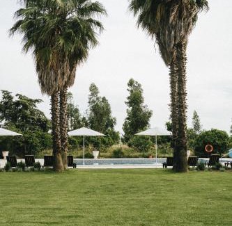Palmela House | Humus Farm