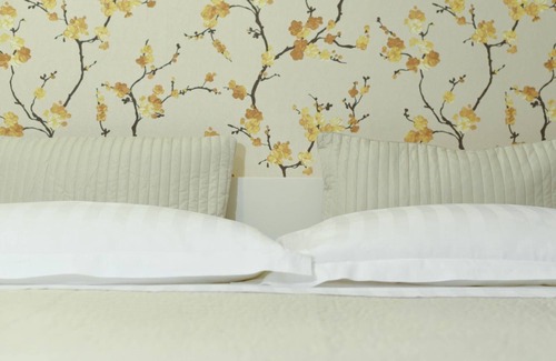 Piana Romana Farm Other | HURZ - Giardino Sannita