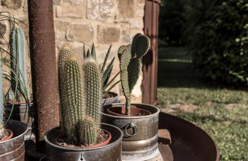Poggiarello House | I Melograni del Chianti