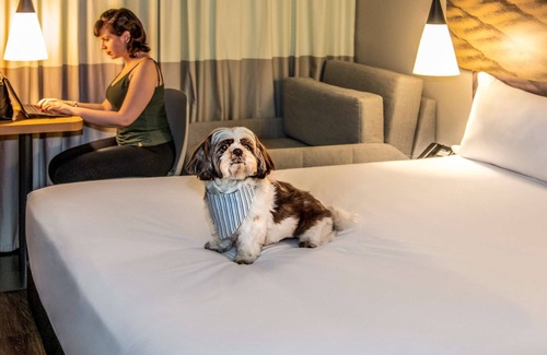 Tatuape Hotel | ibis Sao Paulo Tatuape