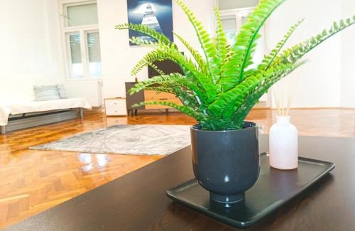 Szeged Apartment | Ibolya Apartman Szeged