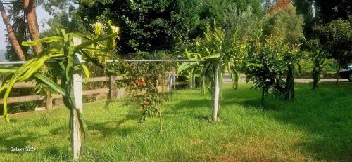 Penso Villa | Ideal Villa in Vila Nova de Famalicão with Private Pool