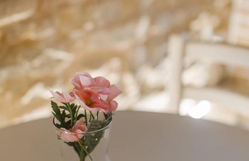 Monte Roberto Apartment | Idromassaggio nel Borgo