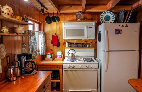 Idyllwild Cabin | Idyllcottage: Located in Historic District with Spa, Fireplace, AC, Fenced-Patio, and Pet-Friendly!