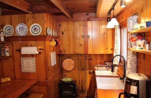 Idyllwild Cabin | Idyllcottage: Located in Historic District with Spa, Fireplace, AC, Fenced-Patio, and Pet-Friendly!