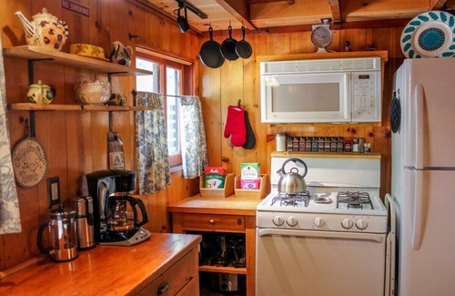 Idyllwild Cabin | Idyllcottage: Located in Historic District with Spa, Fireplace, AC, Fenced-Patio, and Pet-Friendly!