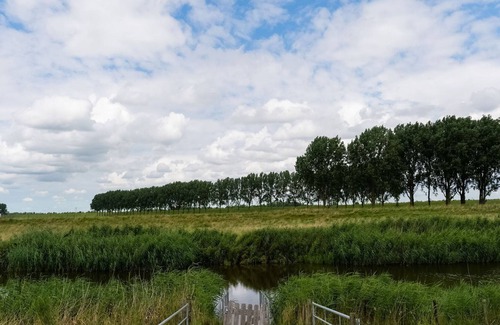 Ooltgensplaat House | Idyllic Holiday Home in Ooltgensplaat with Private Terrace