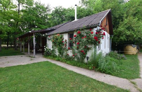 Szentendrei House | Igricz Farmház