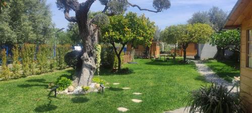 Sant'Ilario dello Ionio Apartment | Il Paradiso