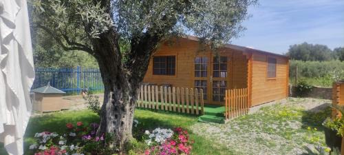 Sant'Ilario dello Ionio Apartment | Il Paradiso
