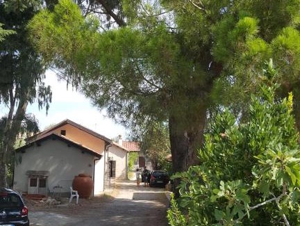 San Sostene Marina Bed & Breakfast | Il pino marittimo