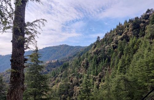 Chakrata Cabin | Ilika Resort Chakrata