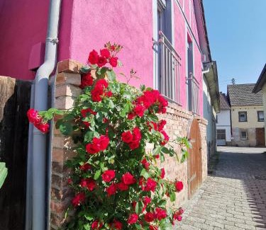 Odenheim House | Im Herzen des Kraichgaus 2