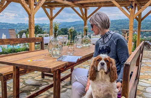 Gornja Toplica Resort | Imanje Savčić