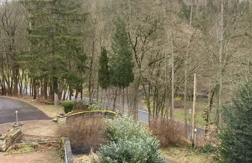 Ziebach Apartment | Immensee IV cozy small Apartment with common area with fireplace