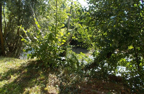 Remalard-en-Perche Apartment | In an old mill studio by the river in the heart of the park of the perche