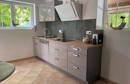 Enghien Villa | In Chardonnerets, garden level in a wooded setting 20 min from Pairi Daiza