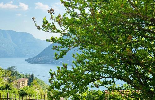Nesso House | Incanto Nesso Parking and Lake View