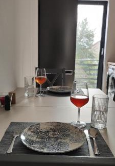 Tirgu Jiu Apartment | Infinit relax