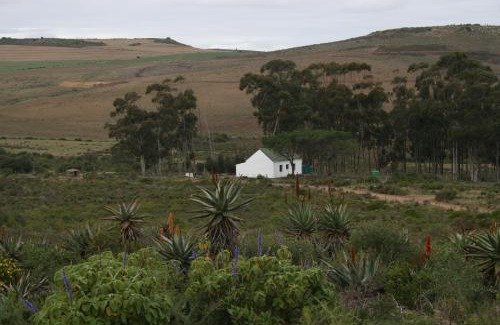 Hessequa House | Infinity farm