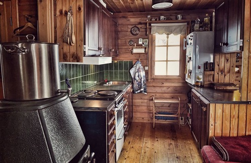 Kvikkjokk Ski Chalet | Into Jack London's Wilds.: Northern Lights, Midnight Sun, Sled dog, Quitness