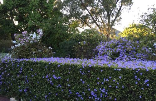 Pinelands House | Invergara