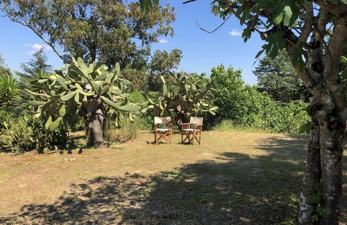 Torres Novas Cottage | Inviting Country Cottage