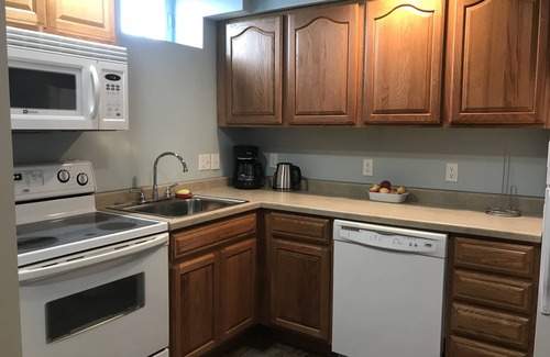 Munising Apartment | Inviting vacation apt. in town w A/C, short walk to Lk Superior, Food Trk, Pub
