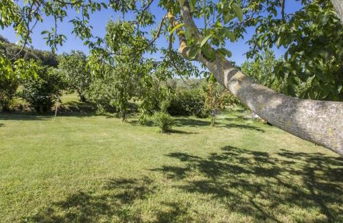 Civitella Paganico House | Isola Delle Api