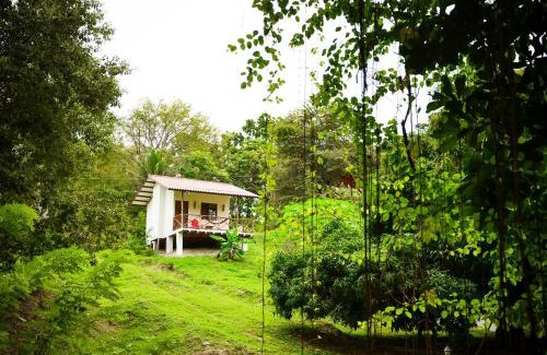 Las Uvas House | Istmo Beach and Jungle Bungalows