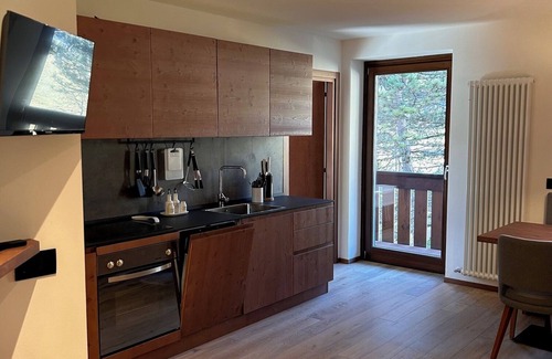 San Martino di Castrozza Apartment | Apartment with large private terrace, 40 m2 and Pale San Martino views