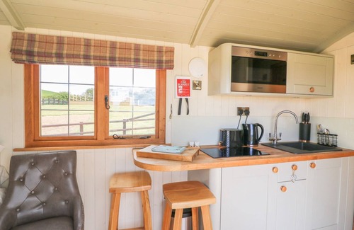 Rhayader Apartment | Ivy's Way - Delightful Pet Friendly Shepherds Hut Sleeping 2
