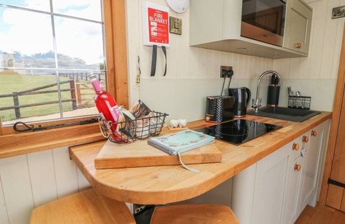 Rhayader Apartment | Ivy's Way - Delightful Pet Friendly Shepherds Hut Sleeping 2