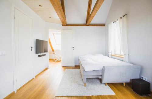 Voru Apartment | Jüri tn Apartment B
