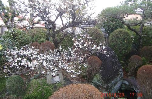 Hirakata House | Japanese Traditional House with beautiful garden.