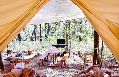 Omitlan de Juarez Apartment | Japi Japi Glamping Premium