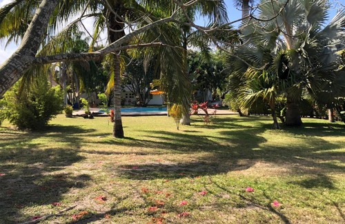 Tuxpan House | Jardín Jolie