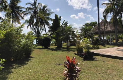 Tuxpan House | Jardín Jolie