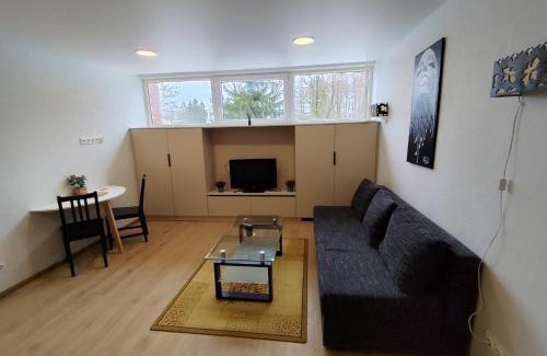Klaipeda Apartment | Jaunystės studija